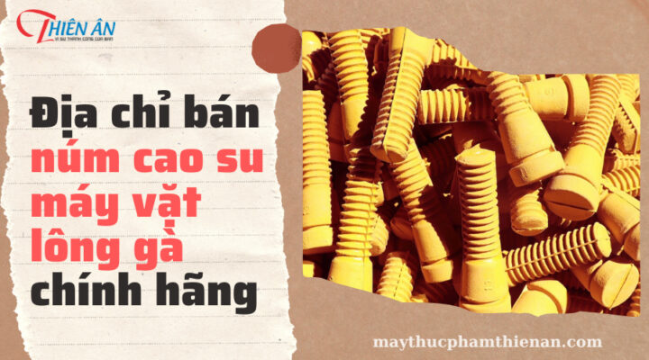 dia chi mua num van long ga vit uy tin